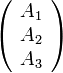 \left( \begin{array} {c} A_1 \\ A_2 \\ A_3\end{array}\right)