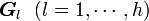 {\boldsymbol G_l} \ \ (l=1, \cdots, h)